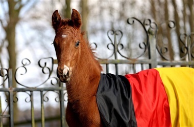 Stefanie har tabt kampen