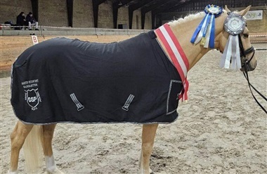 H&oslash;j kvalitet ved DSP's hingstek&aring;ring