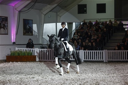 Åbent hus Helgstrand dressage
