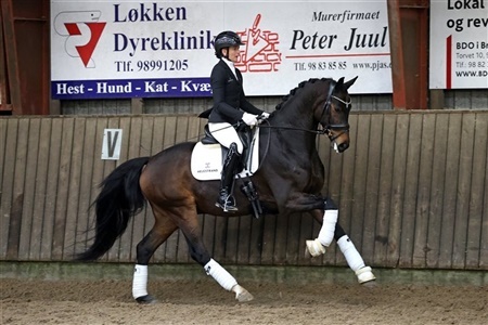 DV Egnethedstest Region 7 Brønderslev