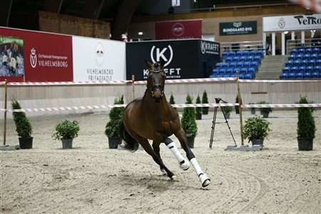 DV Forbesigtigelse Vilhelmsborg