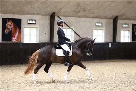 Åbent hus Følle Strandgaard
