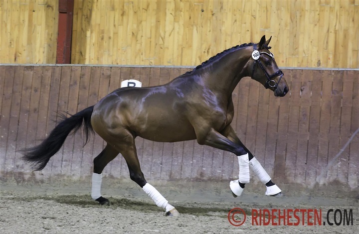 Be Zafe opfylder dr&oslash;m for Sophie og Maria