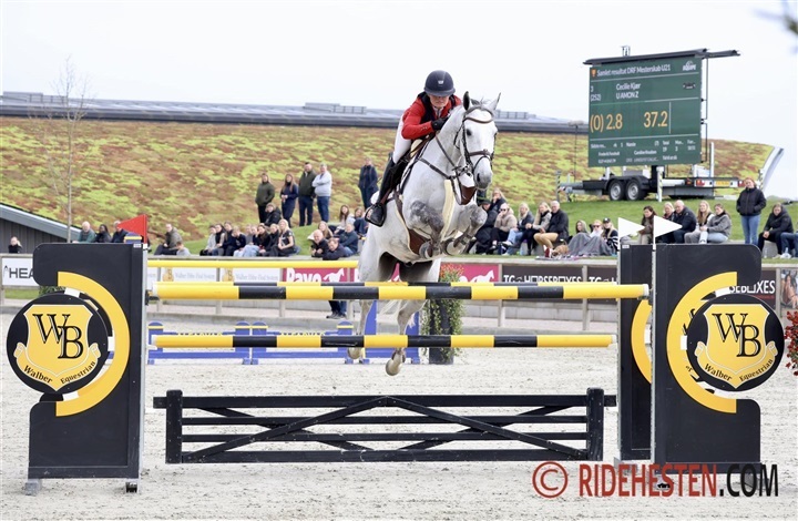 Nu kan der tilmeldes hold til Walber Cup