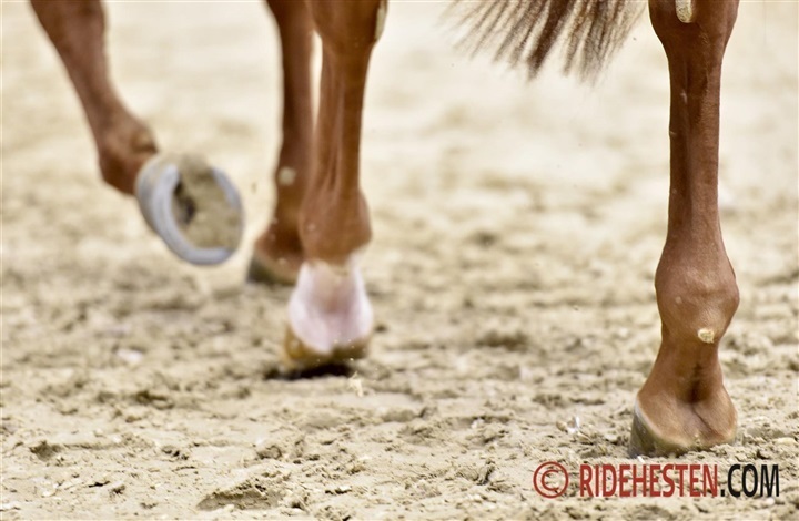 Sp&aelig;ndende foredrag om ledmus