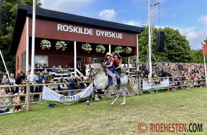 Masser af heste klar til Roskilde Dyrskue