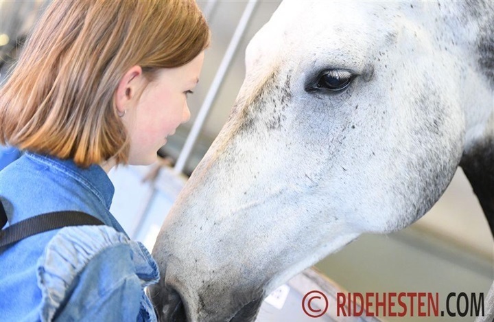 Hvor vigtig er du for din hest?