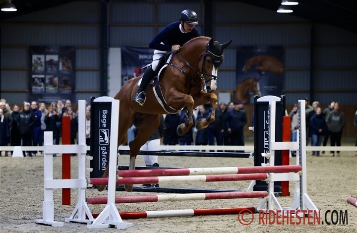 Verdensstjerne g&aelig;ster &aring;bent hus p&aring; B&oslash;geg&aring;rden