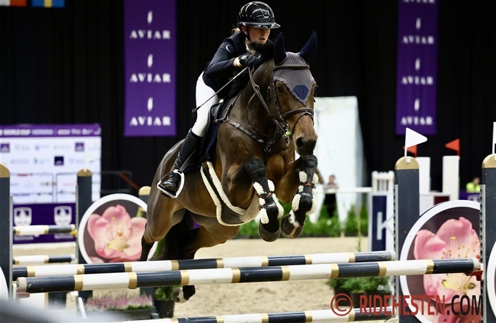 Danske sejre og placeringer i Belgien