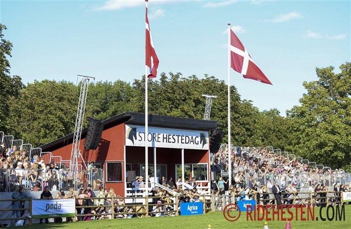 Tid til endnu en Store Hestedag