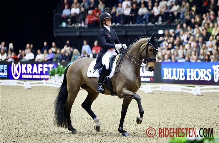 Ingen n&aelig;rmede sig Dufour og Free