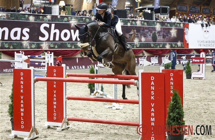 19-&aring;rig debuterede 8 &aring;rs hest i 150 cm