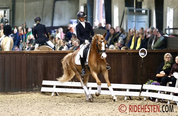 Jubil&aelig;um, kvalitet og ponyer i fokus hos F&oslash;lle Strandgaard