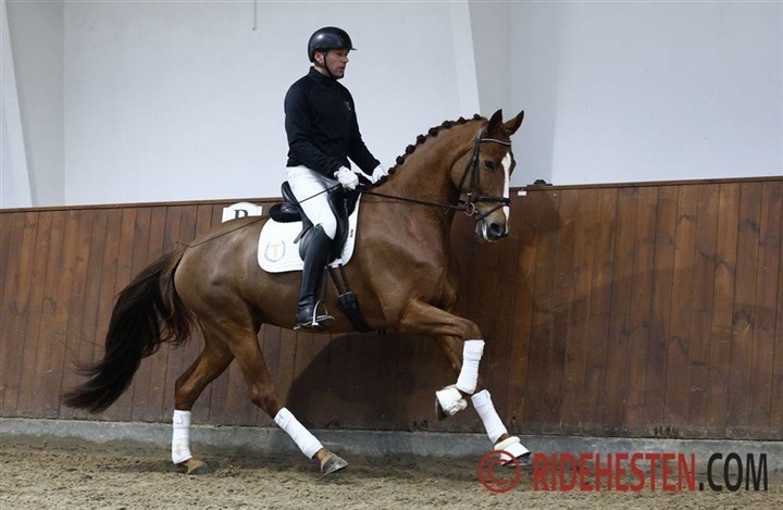 Teglovnen med tre opdr&aelig;t til Herning