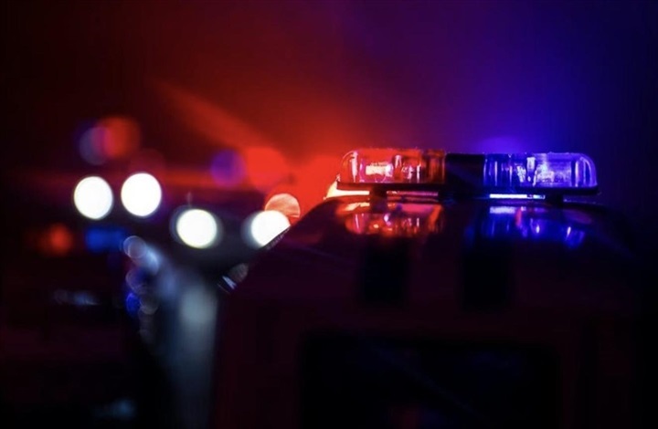 Bilist ramte hest p&aring; landevej – m&aring;tte aflives