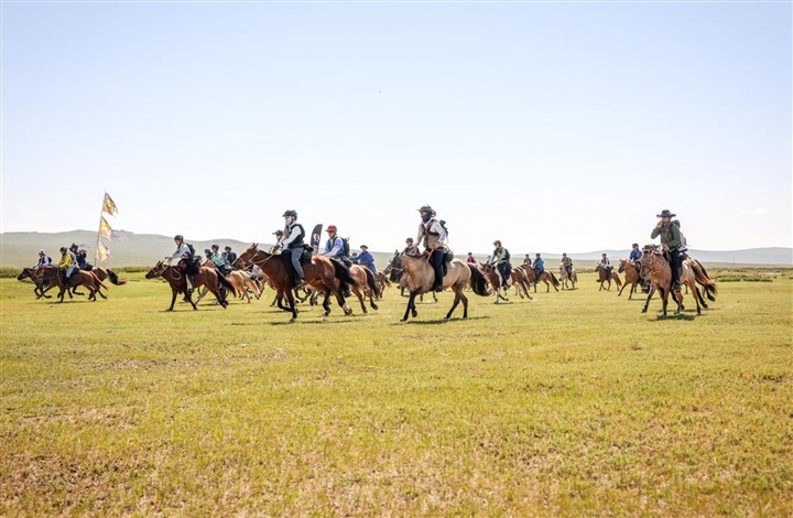 Fra isl&aelig;nder til 850 km p&aring; mongolsk hingst
