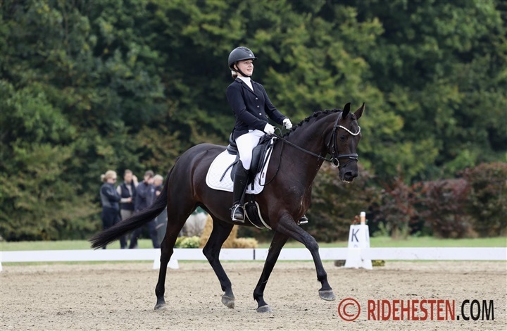 De skal ride Dressurens Venner Cup-finale