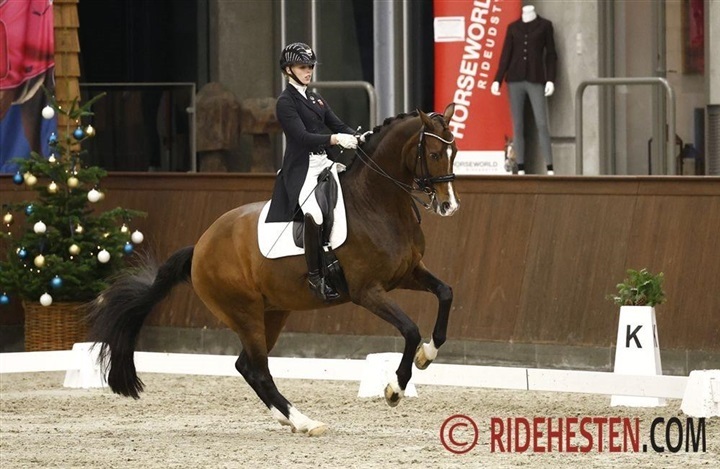 Gode danske pr&aelig;stationer i Lier