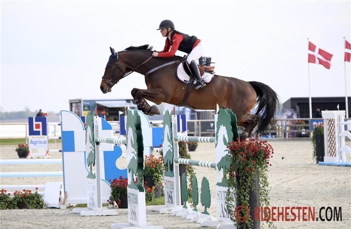 Internationale starter - uge 15
