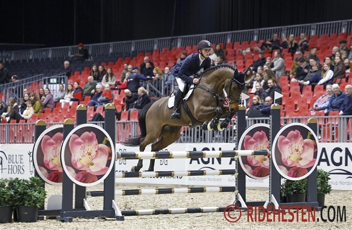 Fire 9-taller til f&oslash;rende hest i unghestechampionatet