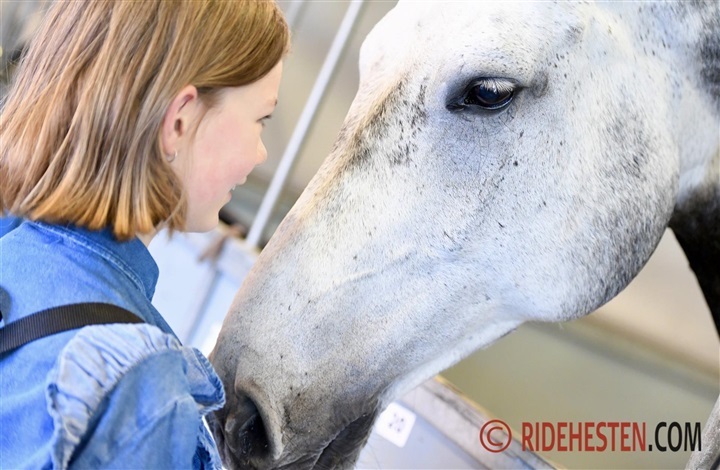 Forskning bek&aelig;mper tavshedskultur