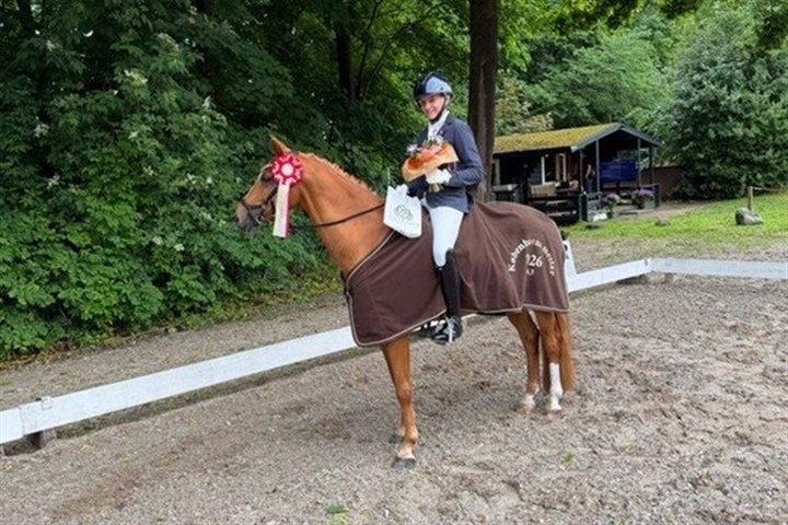 Tre KBH-mestre for pony fundet