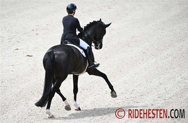 Hvorn&aring;r ser vi Vayron og Wendy igen?