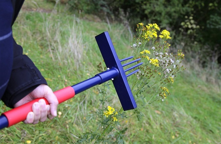 S&aring;dan bek&aelig;mper du let engbrandb&aelig;ger