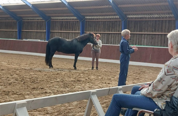 Sue Dyson: Pro ridesport med forbedret hestevelf&aelig;rd