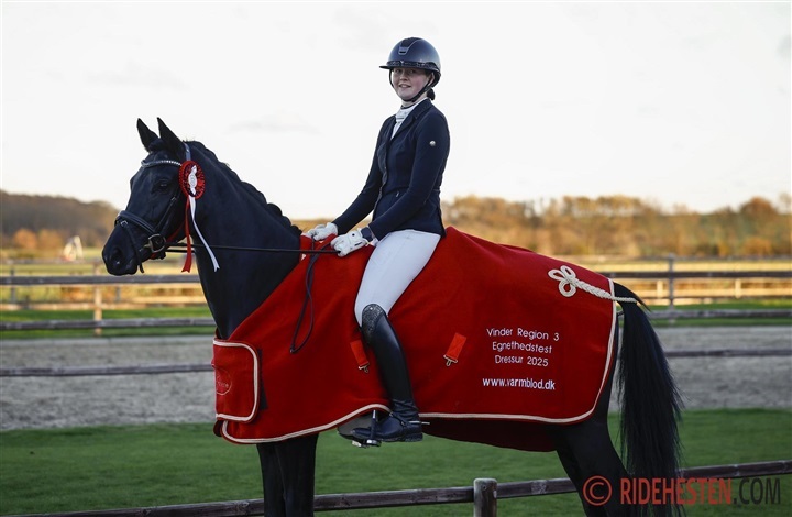Emily og Soulsister L vinder l&oslash;rdagens E-test