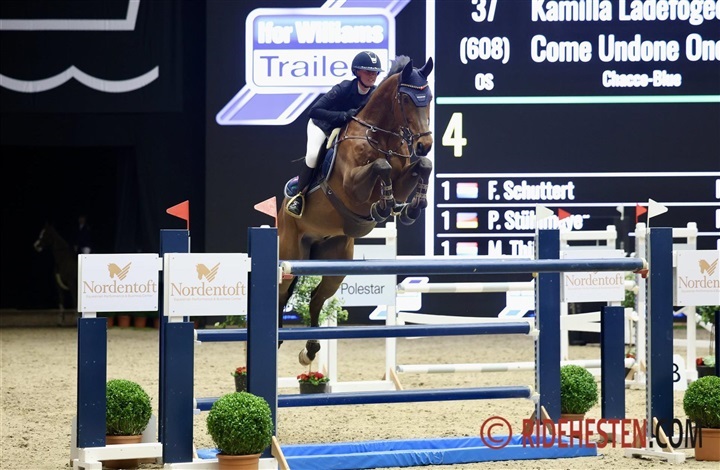 Internationale starter - uge 50