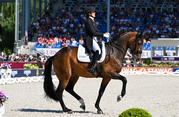 Dansk VM-holdbronze – Dufour bedst