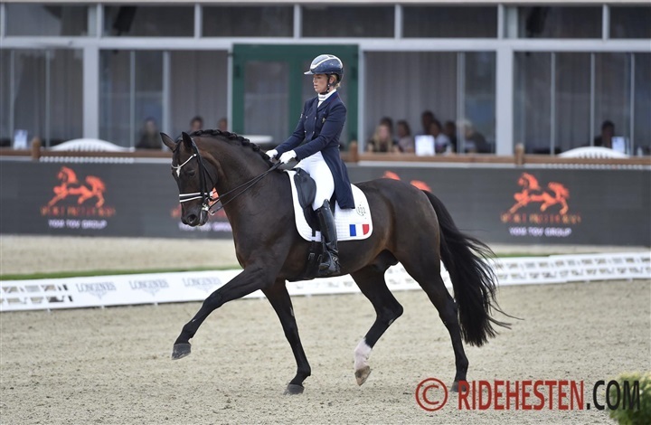 Sir Donnerhall II: Fra skade til et &aring;rti blandt verdenseliten