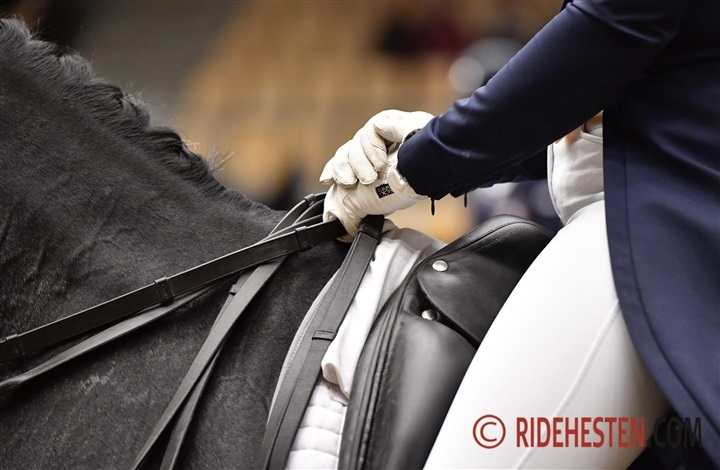 Har du set de ledige udvalgsposter?