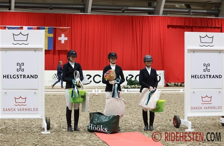 Amat&oslash;rryttere leverede flot ridning i Herning