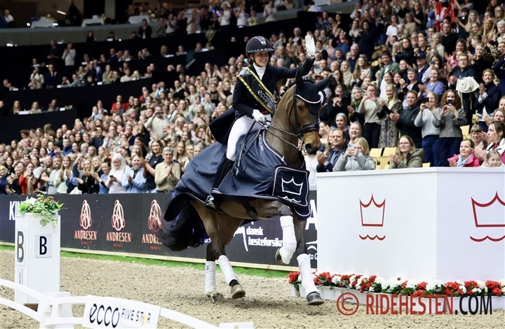 S&aelig;t kryds i kalenderen: DV's Hingstek&aring;ring 2027