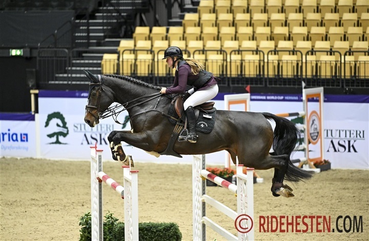 Syvh&oslash;jeg&aring;rds Fi Fi har haft succes i Saudi Arabien