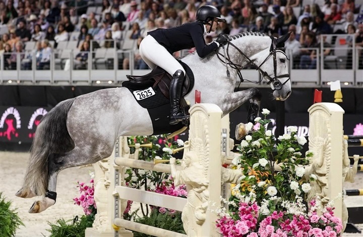 Danske avlere f&oslash;lger deres afkom i USA