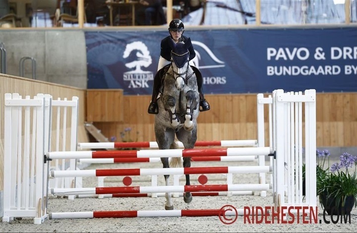 Guldhoppe med tre efterkommere i Herning