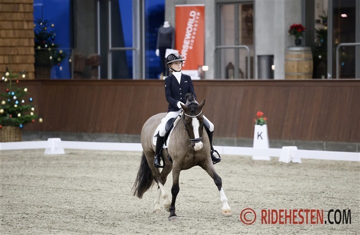 Nu er det tid til Horseworld Cup i Vejle