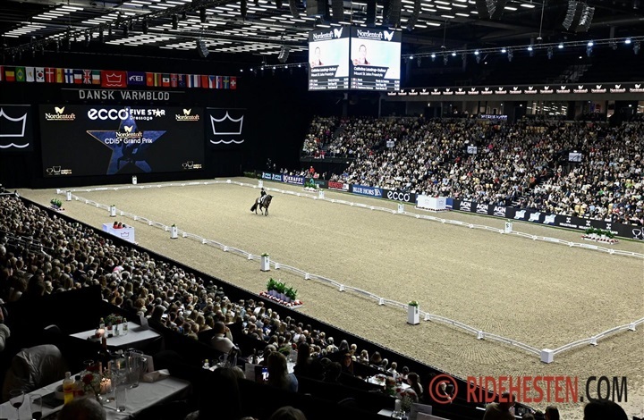 Hingstek&aring;ringen samlede 61.266 g&aelig;ster