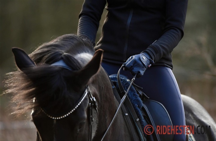 Er du ny formand for disciplin&aelig;rudvalget?