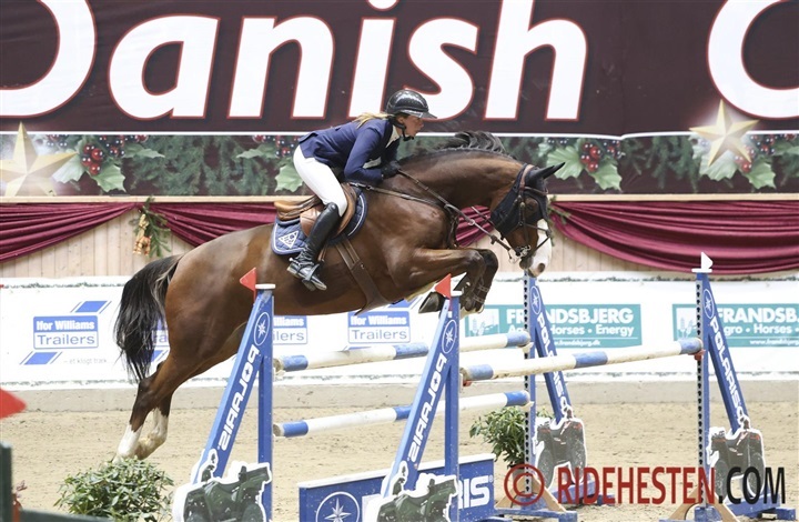 Heineking 4'er i 150 cm