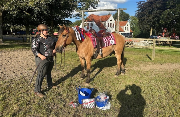 Ridehesten med i Dr&oslash;mmeholdet