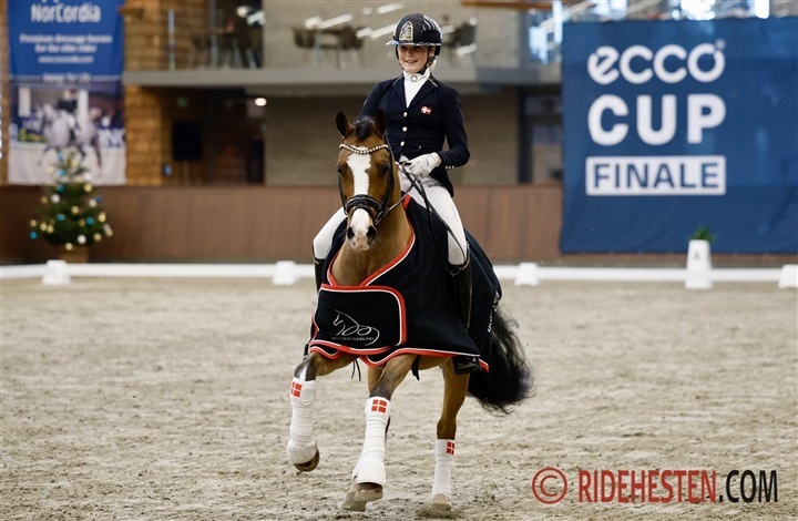 Agnes og Timms My Fritz topper ranglisten