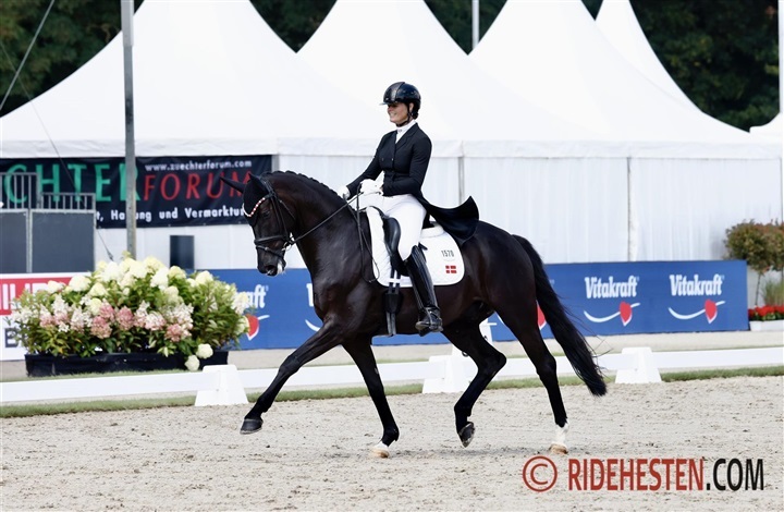 UVM-deltager solgt til tysk youngrider