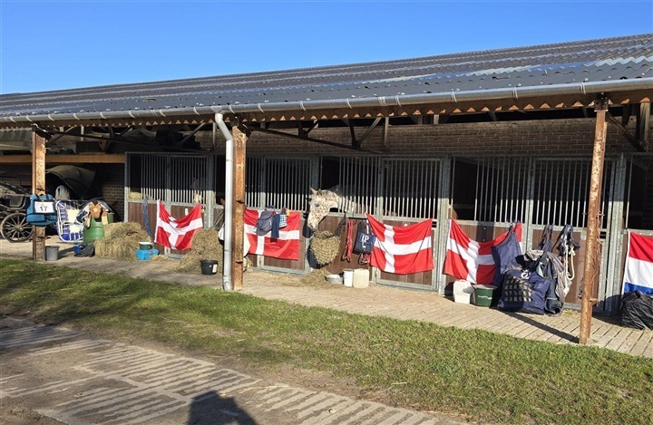 Danske TREC-ryttere i flot s&aelig;son&aring;bning