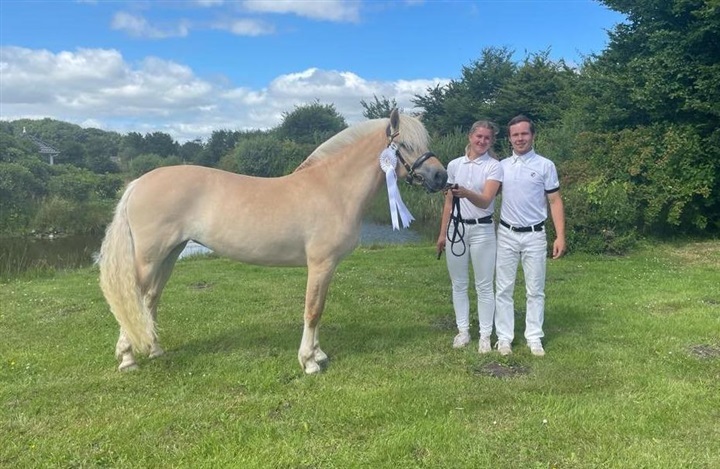 &Aring;bent hus og hingstefremvisning hos Toftens Fjordheste