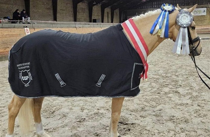 H&oslash;j kvalitet ved DSP's hingstek&aring;ring