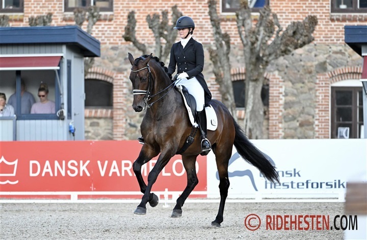 Kirk Kristiansen i Wellington: – Det er fantastisk